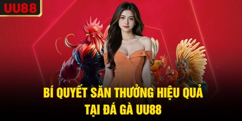 Bí quyết săn thưởng hiệu quả tại đá gà UU88