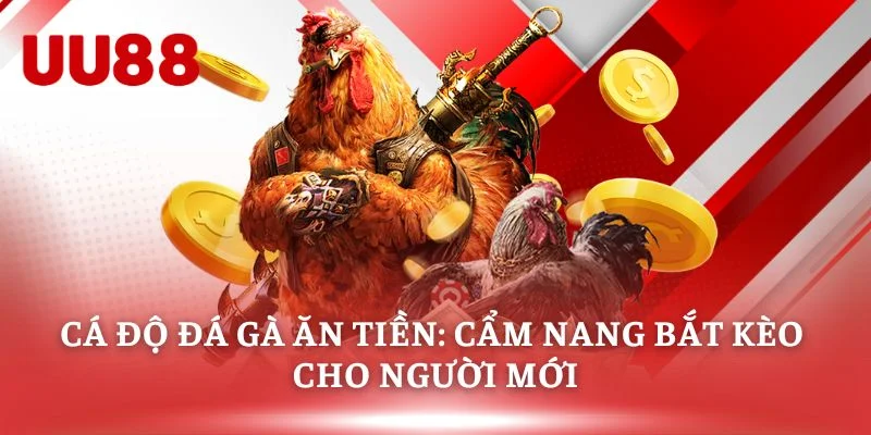 Cá Độ Đá Gà Ăn Tiền - Cẩm Nang Bắt Kèo Cho Người Mới