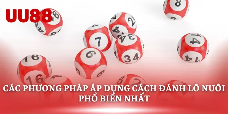 Các phương pháp áp dụng cách đánh lô nuôi phổ biến nhất