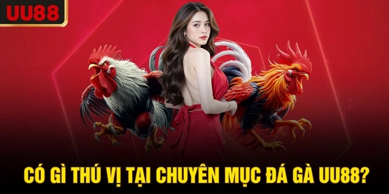 Có gì thú vị tại chuyên mục đá gà UU88?