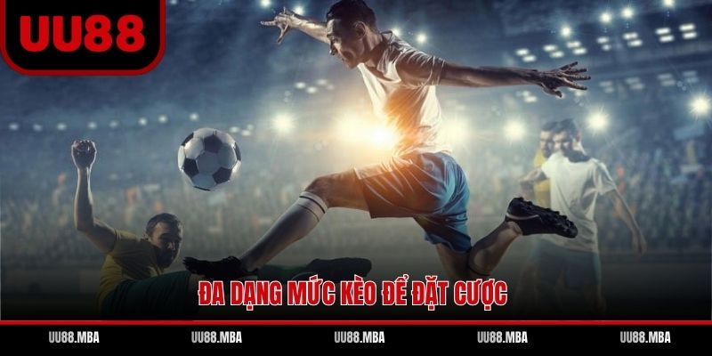 Đa dạng mức kèo để đặt cược