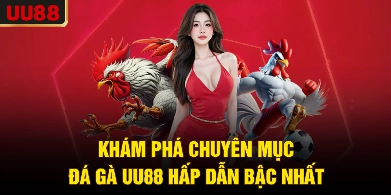 Khám phá chuyên mục đá gà UU88 hấp dẫn bậc nhất