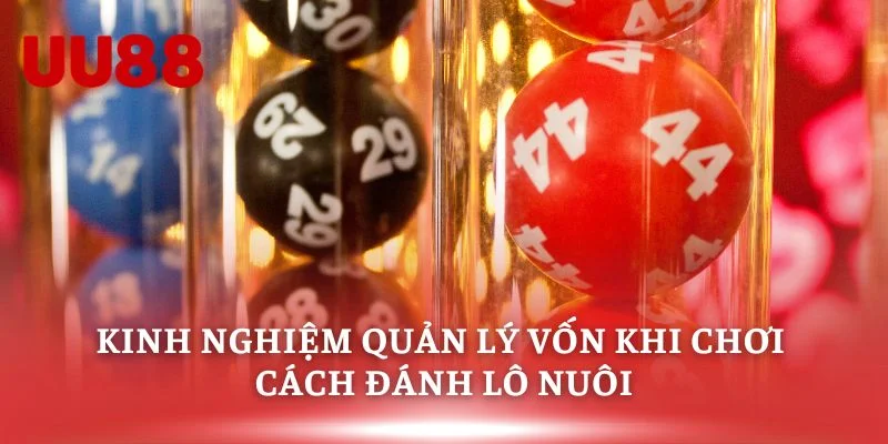 Kinh nghiệm quản lý vốn khi chơi cách đánh lô nuôi